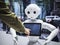 TOKYO JAPAN - APR 16, 2018 :Pepper Robot Assistant Information touch screen Humanoid technology communicate with people in Tokyo J