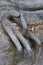 Tokyo, Japan - Hand of a Buddha statue in the garden of the Nez