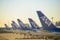 Tokyo, Japan - January 16, 2017 : All Nippon Airlines aircraft parked at Tokyo`s Haneda Airport at sunrise on January 16, 2017