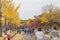 Tokyo, Japan - Nov 20, 2016 : Autumn is the peak period for travel at Showa Kinen Park, Tokyo, Japan. Maidenhair trees chang to y