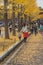 Tokyo, Japan - Nov 20, 2016 : Autumn is the peak period for travel at Showa Kinen Park, Tokyo, Japan. Maidenhair trees chang to y