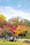 TOKYO, JAPAN - NOVEMBER 20, 2016. Koishikawa Korakuen graden, japanese people and tourists have a nice trip in the autumn colors