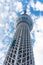 TOKYO, JAPAN - OCTOBER 31, 2017: View of the TV tower `The Heavenly tree of Tokyo`. Copy space for text. Vertical. Bottom view.