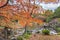 Tokyo Metropolitan Park KyuFurukawa japanese garden`s Yukimi stone lantern overlooking by red maple momiji leaves in autumn