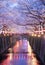 Tokyo sakura cherry blossom with light up