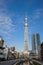 Tokyo Sky Tree construction completed