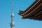 Tokyo Sky Tree tower with blurry Sensoji temple japanese roof foreground