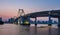 Tokyo skyline and rainbow bridge at night in Odaiba waterfront