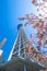 Tokyo Skytree with cherry blossoms