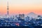 Tokyo skytree and mountain fuji