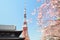 Tokyo Tower at cherry blossom time