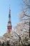 Tokyo Tower at cherry blossom time