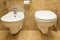 Toliet and bidet