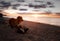 Toller dog at sunset by the sea. Nova Scotia Duck Tolling Retriever is on vacation. Pet Travel