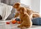 Toller Puppies With Bright Duck Toy In Room