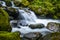 Tolmie Creek Waterfall in Summer with slow shutter Mt nainier