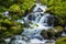 Tolmie Creek Waterfall in Summer with slow shutter Mt nainier