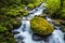 Tolmie Creek Waterfall in Summer with slow shutter Mt nainier