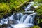 Tolmie Creek Waterfall in Summer with slow shutter Mt nainier