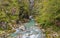 Tolmin gorge, nature, Slovenia