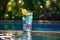 tom collins cocktail with tropical poolside foliage