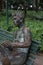 Tom Jobim homage statue in Parque lage arts public park