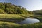 Tomales bay wetlands