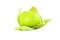 Tomatillo or mexican green tomato fruit or vegetable