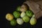 Tomatillos on black background California harvest