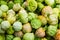 Tomatillos on display at market