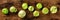 Tomatillos, green tomatoes, overhead flat lay panorama. Mexican food ingredient