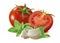 Tomato, basil and garlic cloves isolated on white background