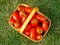 Tomato basket - aerial