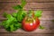 Tomato breed Wine Jug with parsley on wooden bachground