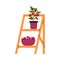 Tomato bush in pot on wooden shelves, cartoon flat vector illustration isolated.