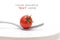 Tomato cherry on a fork. Diet and healthy meals