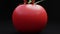 Tomato is close-up on a dark background illuminated from above