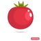 Tomato color flat icon