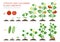 Tomato and cucumber plants growth stages infographic elements in flat design. Planting process from seeds sprout to ripe