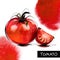 Tomato with a cut slice. Tomatoes, vegetables-watercolor illustration, hand drawing, graphics.