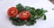 Tomato cut into two parts and spinach green fresh on white background side view