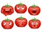 Tomato emoji cartoon character set. Various emotions. Happiness, yummy, sadness, shock shout