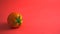 Tomato flat lay on pink background. Head on, medium shot, horizontal, still life, food photography image style.