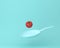 Tomato floating with blue pan on pastel blue background. minimal concept fruits and food. An idea creative to produce work or art