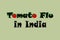 Tomato Flu in India typography text vector design. Healthcare awareness conceptual vector design