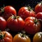 Tomato fresh raw organic vegetable