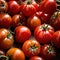 Tomato fresh raw organic vegetable