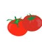 tomato fruit icon