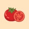 Tomato Fruit and Slice Vector illustration Flat Design