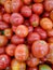 Tomato fruit wallpaper photos